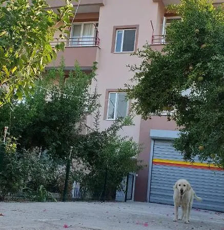 Yener Apart