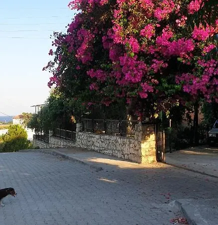 Apartment Yener Apart Demre